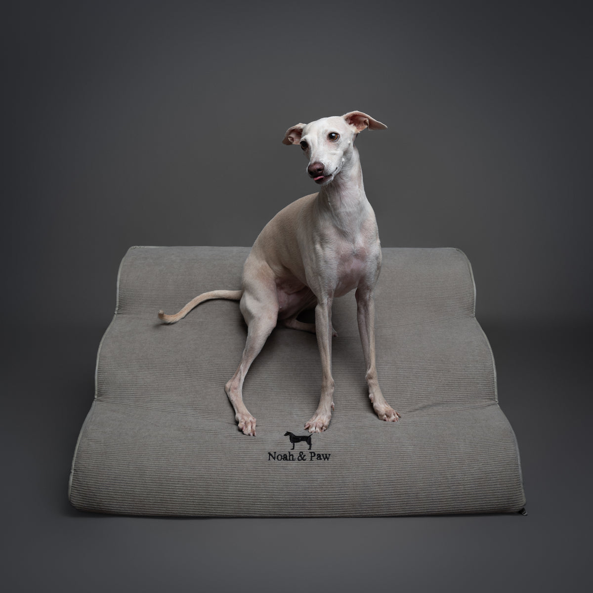 Noah & Paw 27-inch extra wide dog ramp stairs in faux leather, gray, 3 steps