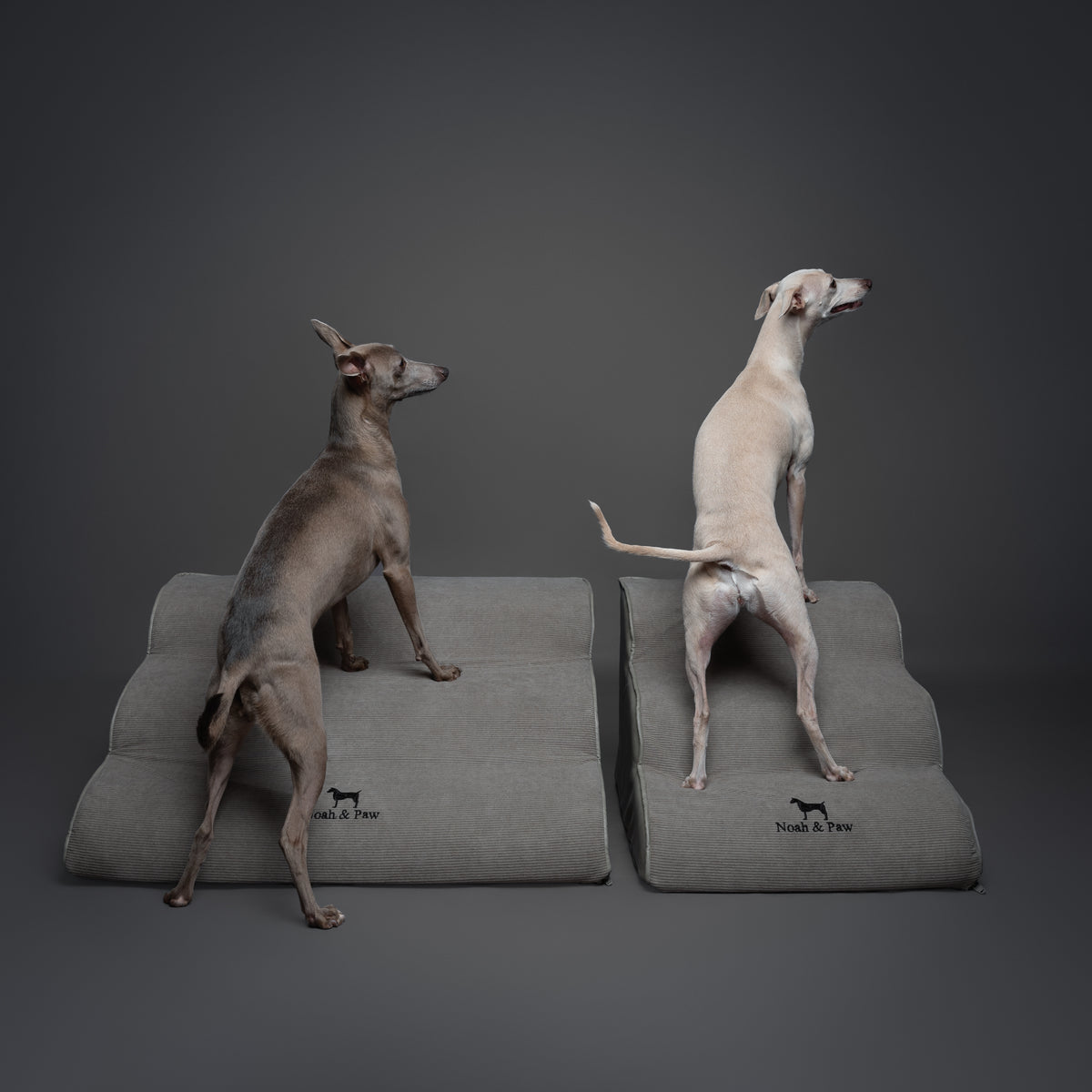 Noah & Paw 27-inch extra wide dog ramp stairs in faux leather, gray, 3 steps