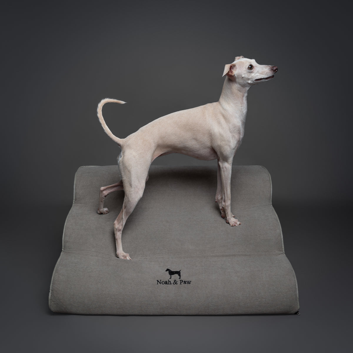 Noah & Paw 27-inch extra wide dog ramp stairs in faux leather, gray, 3 steps