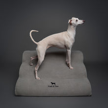 Noah & Paw 27-inch extra wide dog ramp stairs in faux leather, gray, 3 steps