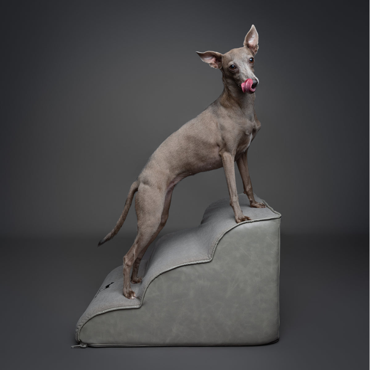 Noah & Paw dog ramp stairs for bed in faux leather, gray, 3 steps