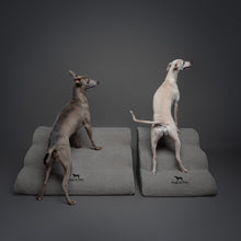 Noah & Paw dog ramp stairs for bed in faux leather, gray, 3 steps