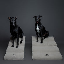 Noah & Paw 27-inch extra wide dog ramp stairs in faux leather, gray, 4 steps