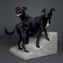 Noah & Paw 27-inch extra wide dog ramp stairs in faux leather, gray, 4 steps