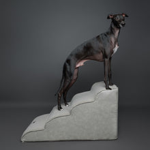 Noah & Paw dog ramp stairs for bed in faux leather, gray, 4 steps