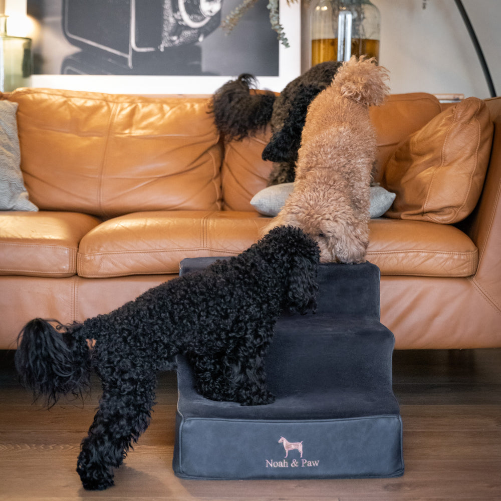 Noah & Paw luxury dog stairs for bed in faux leather, black, 3 steps