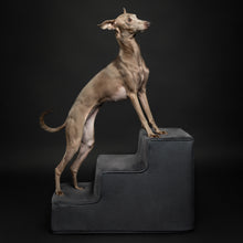 Noah & Paw luxury dog stairs for bed in faux leather, black, 3 steps