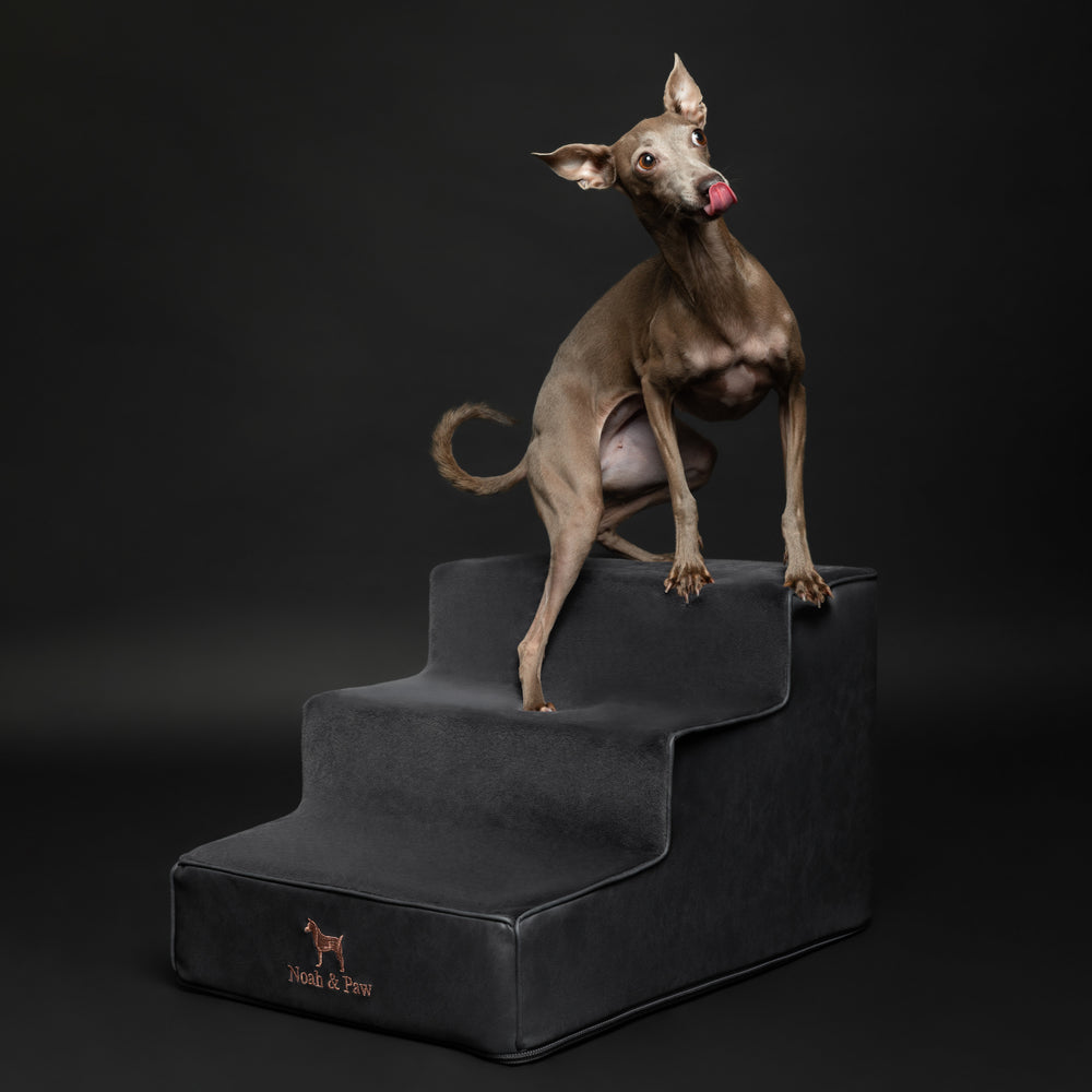 Noah & Paw luxury dog stairs for bed in faux leather, black, 3 steps