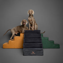 Noah & Paw luxury dog stairs for bed in faux leather, black, 5 steps