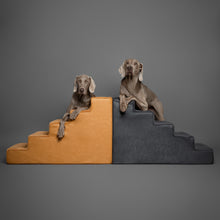 Noah & Paw luxury dog stairs for bed in faux leather, black, 5 steps