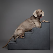 Noah & Paw luxury dog stairs for bed in faux leather, black, 5 steps