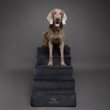 Noah & Paw luxury dog stairs for bed in faux leather, black, 5 steps
