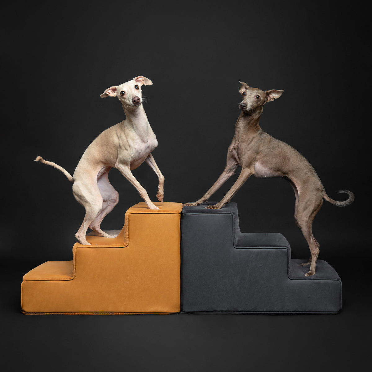 Noah & Paw luxury dog stairs for bed in faux leather, camel, 3 steps