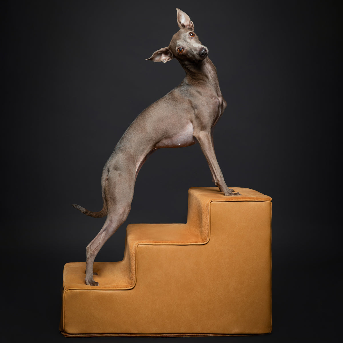 Noah & Paw luxury dog stairs for bed in faux leather, camel, 3 steps