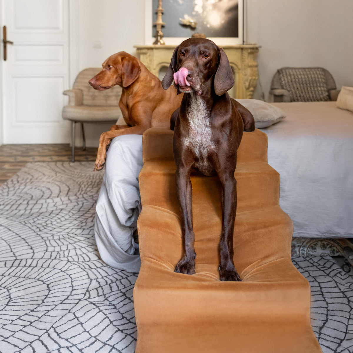 Noah & Paw luxury dog stairs for bed in faux leather, camel, 5 steps