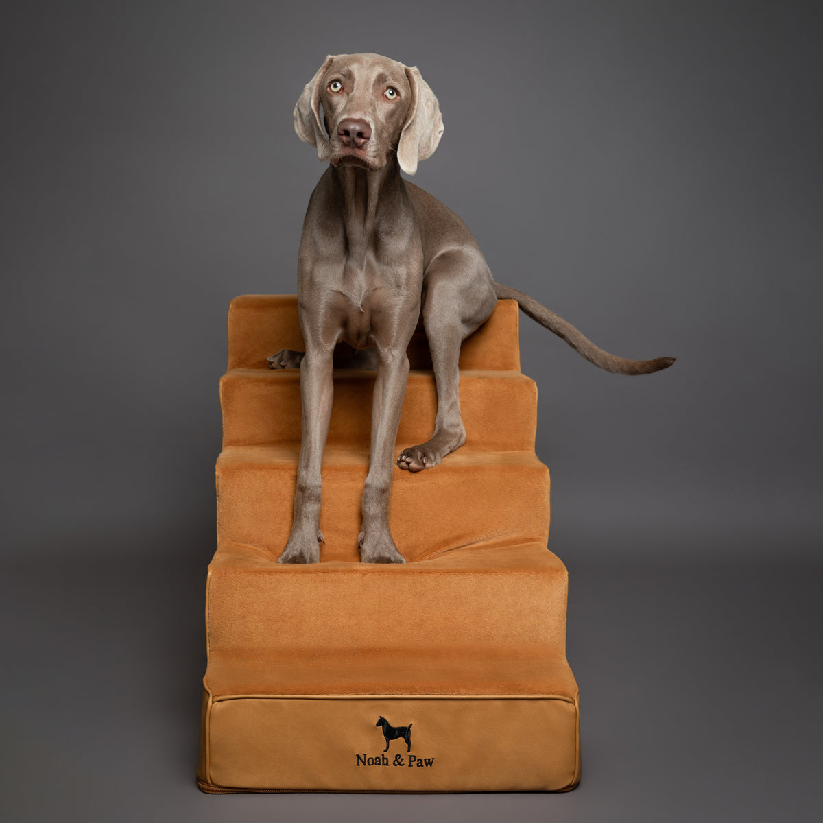 Noah & Paw luxury dog stairs for bed in faux leather, camel, 5 steps
