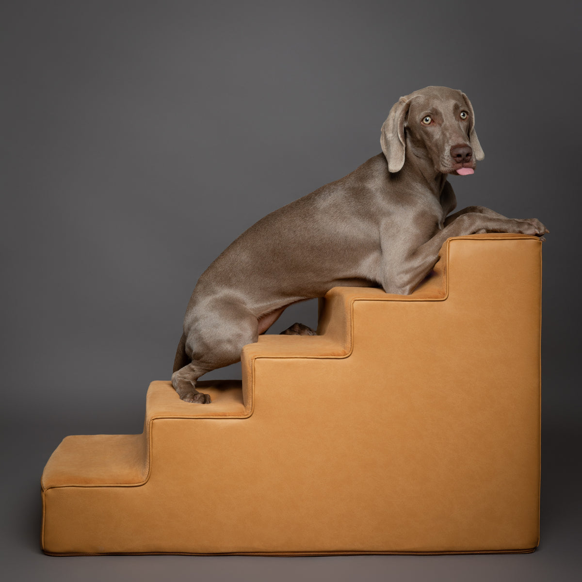Noah & Paw luxury dog stairs for bed in faux leather, camel, 5 steps