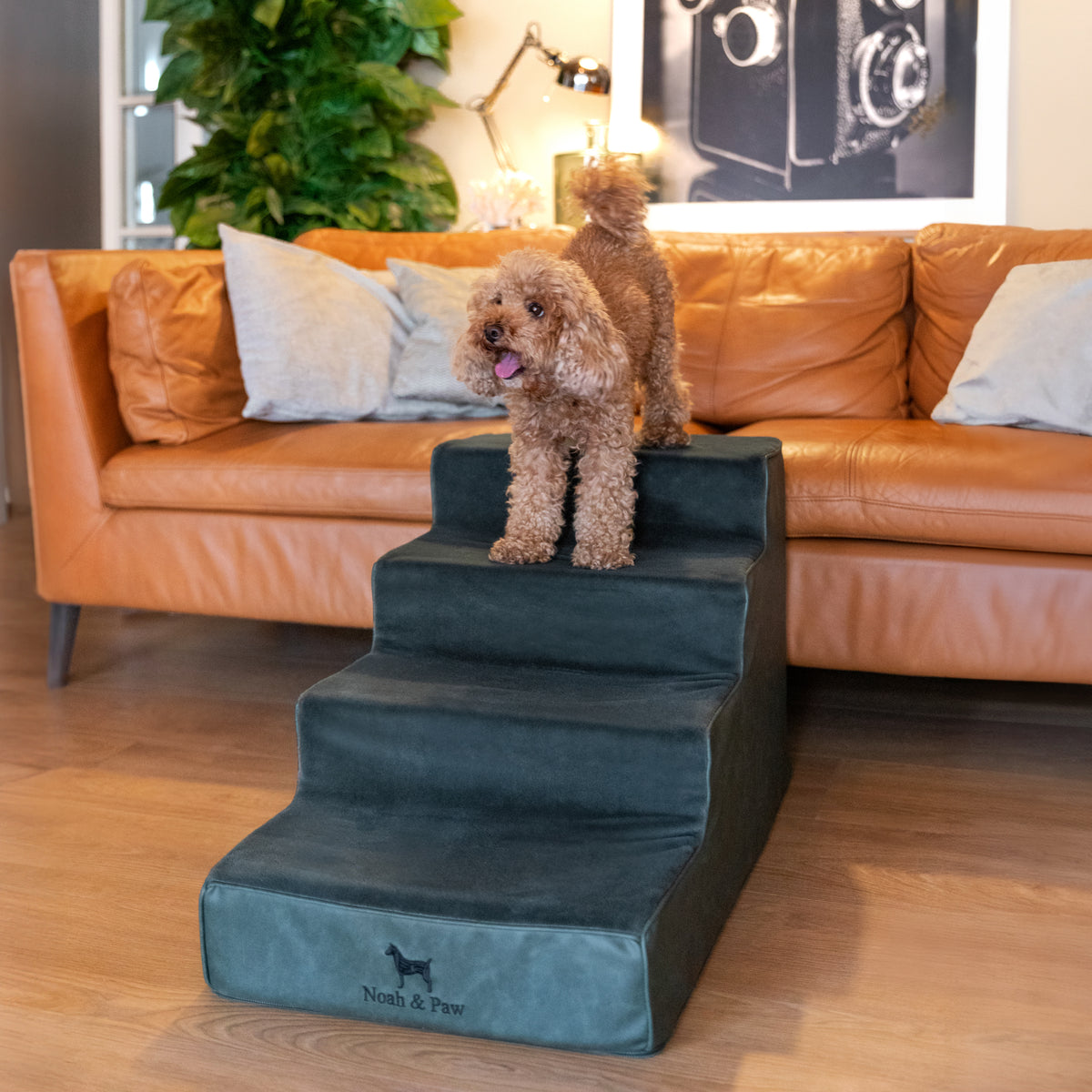 Noah & Paw luxury dog stairs for bed in faux leather, dark green, 4 steps