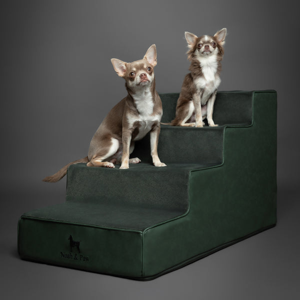 Noah & Paw luxury dog stairs for bed in faux leather, dark green, 4 steps