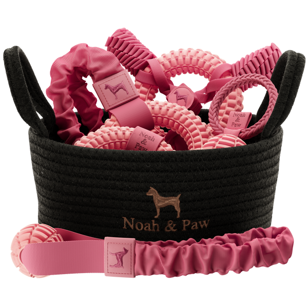 Noah & Paw rope and TPU dog toy gift basket, full set, pink