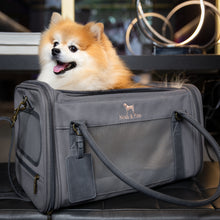 Noah & Paw TSA-approved soft pet carrier for airline travel in canvas, gray