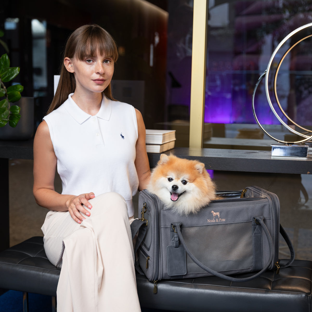Noah & Paw TSA-approved soft pet carrier for airline travel in canvas, gray