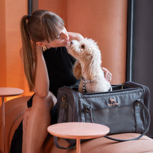 Noah & Paw TSA-approved soft pet carrier for airline travel in faux leather, charcoal