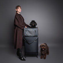 Noah & Paw TSA-approved soft pet carrier for airline travel in faux leather, charcoal