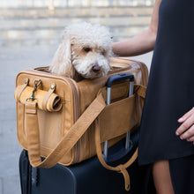 Noah & Paw TSA-approved soft pet carrier for airline travel in faux leather, camel