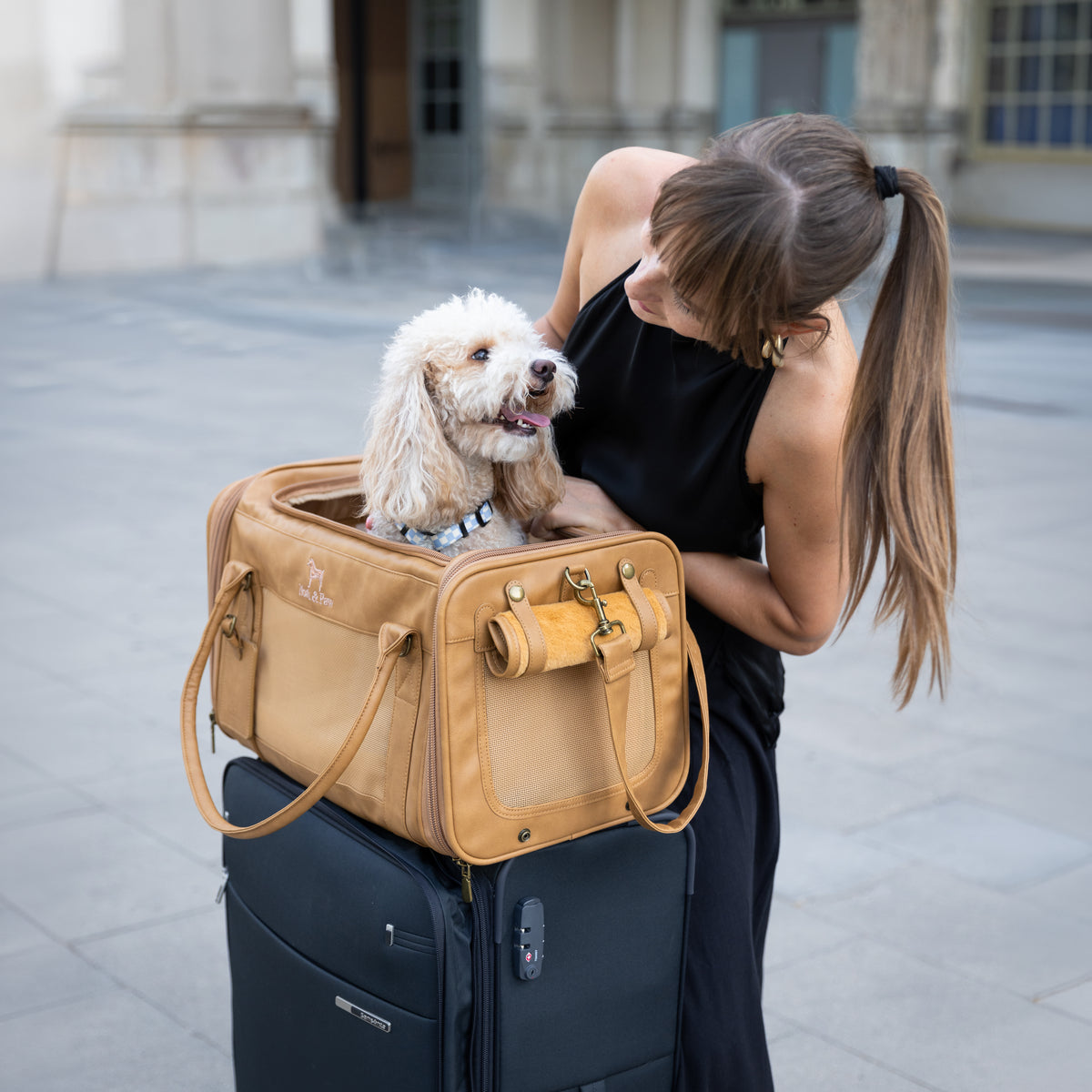 Noah & Paw TSA-approved soft pet carrier for airline travel in faux leather, camel