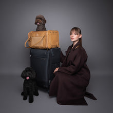 Noah & Paw TSA-approved soft pet carrier for airline travel in faux leather, camel