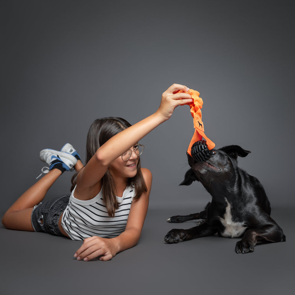 Noah & Paw rope and TPU dog toy, sling, black