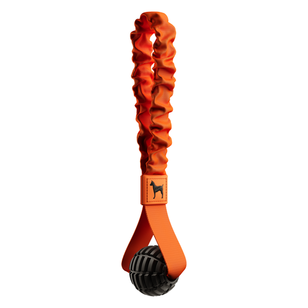 Noah & Paw rope and TPU dog toy, sling, black