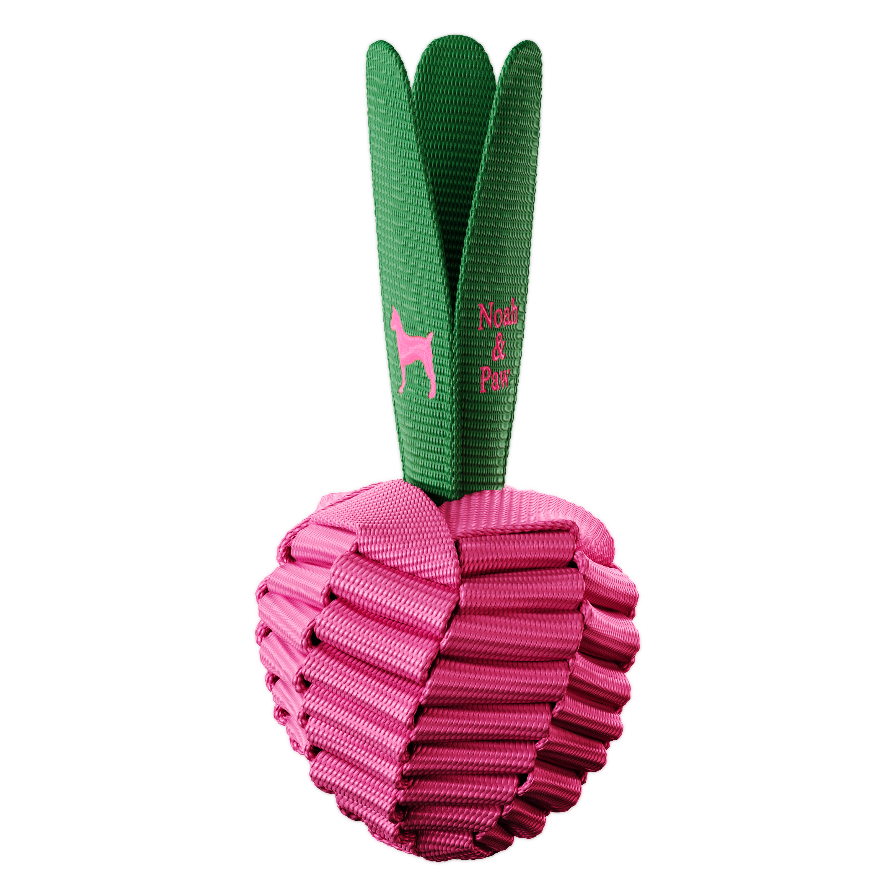 Veggie Beet