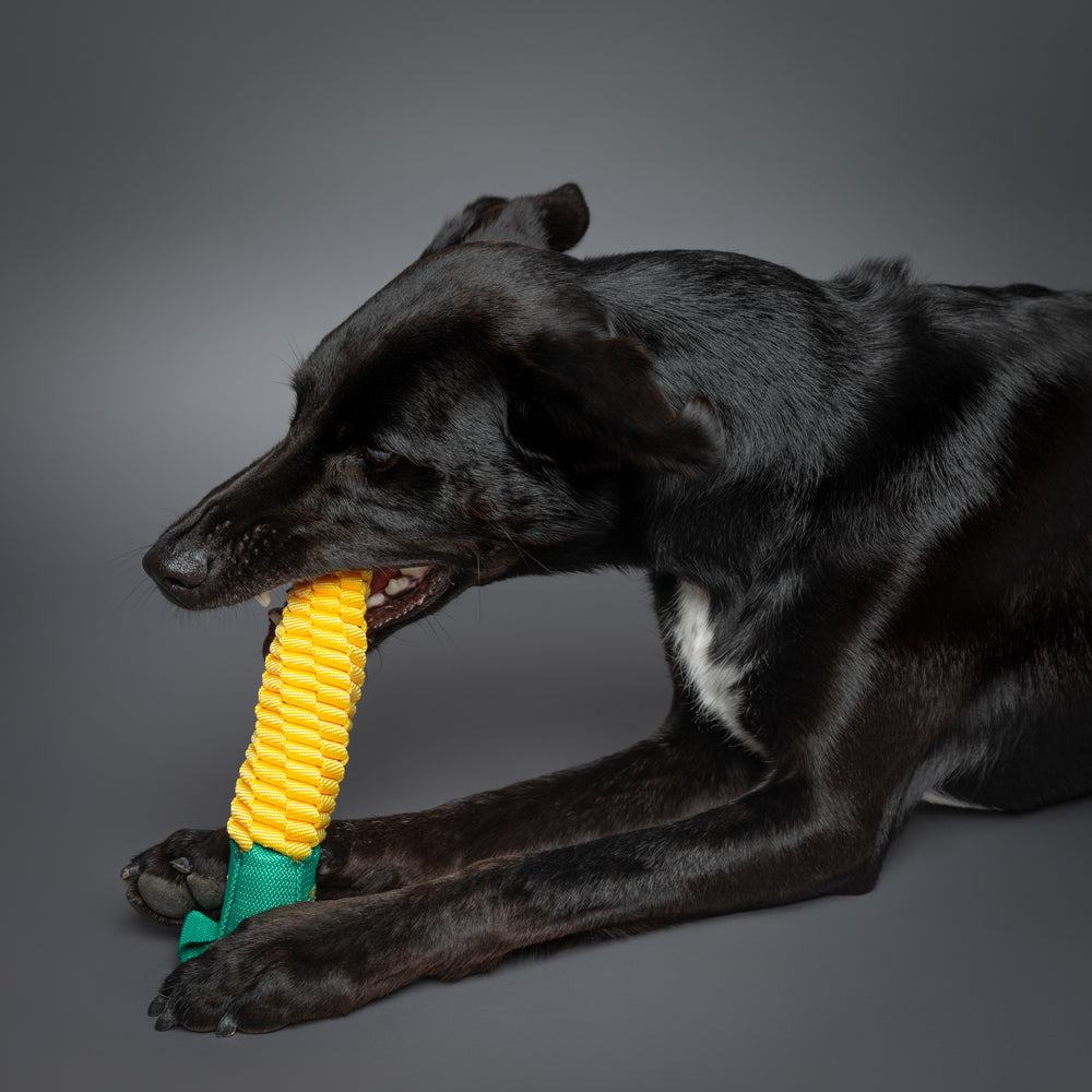Noah & Paw veggie rope dog toy, corn