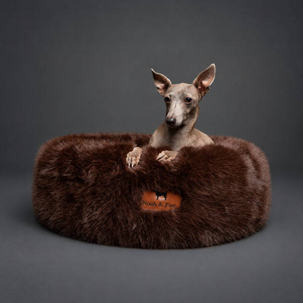 Italian Greyhound resting in a brown Noah & Paw faux fur donut dog bed