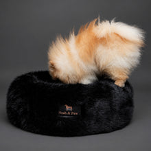 Dogs in Noah & Paw black faux fur donut beds
