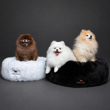 Dogs in Noah & Paw black and white faux fur donut beds