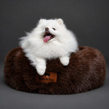 Dogs in Noah & Paw brown faux fur donut beds