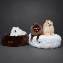 Dogs in Noah & Paw brown and white faux fur donut beds