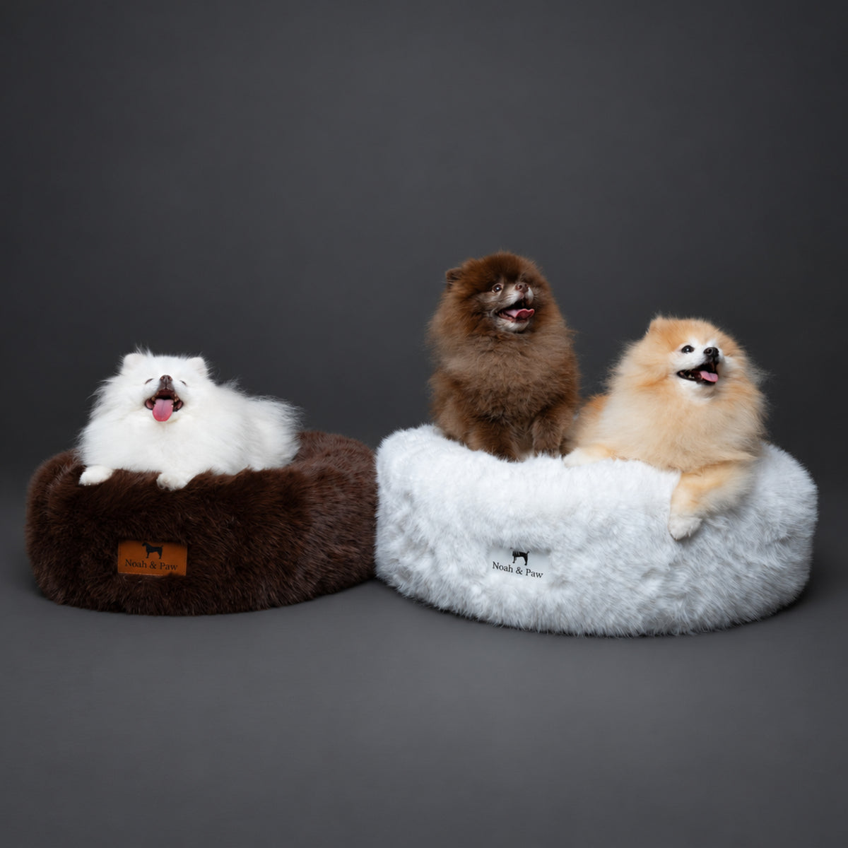 Dogs in Noah & Paw brown and white faux fur donut beds