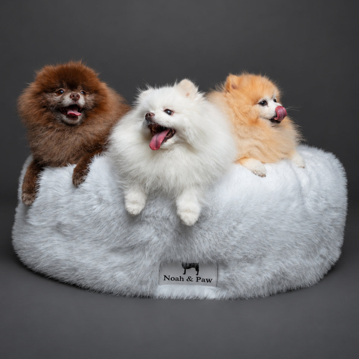Dogs in Noah & Paw white faux fur donut beds