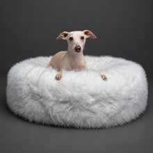 Dogs in Noah & Paw white faux fur donut beds