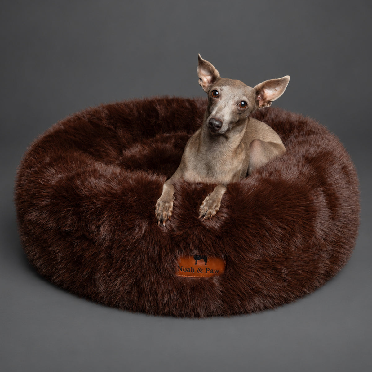 Dogs in Noah & Paw brown faux fur donut beds