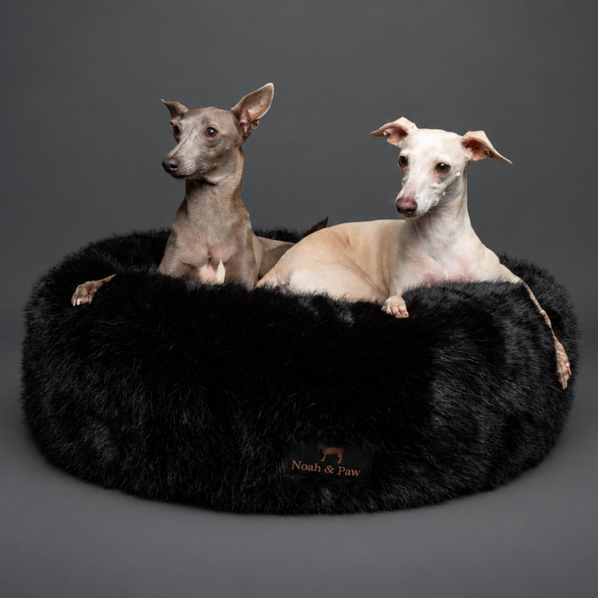 Dogs in Noah & Paw black faux fur donut beds