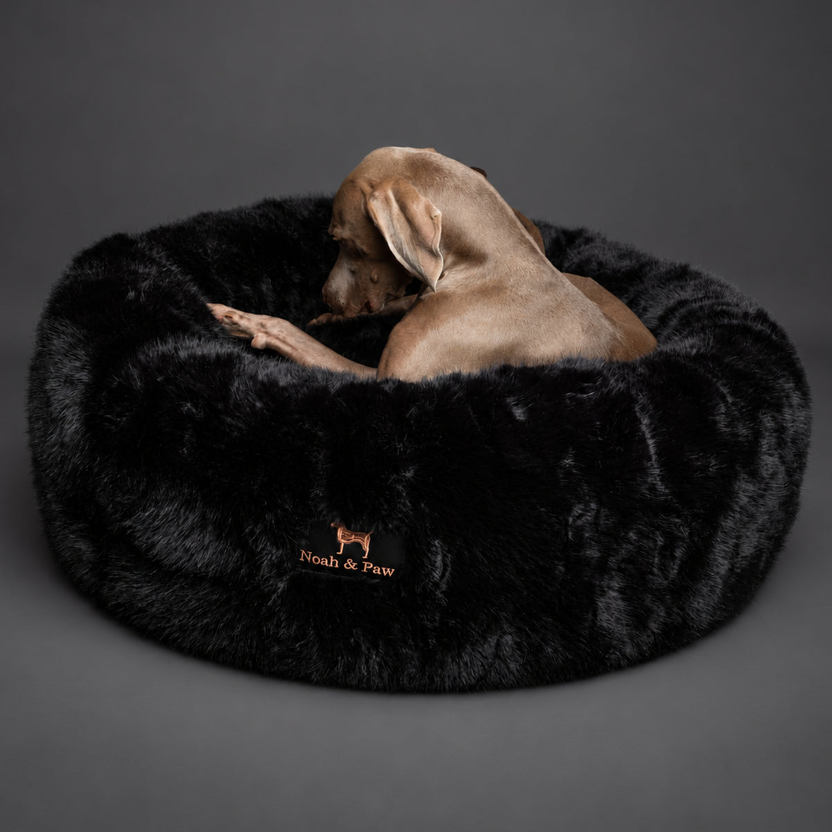 Dogs in Noah & Paw black faux fur donut beds