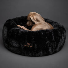 Dogs in Noah & Paw black faux fur donut beds