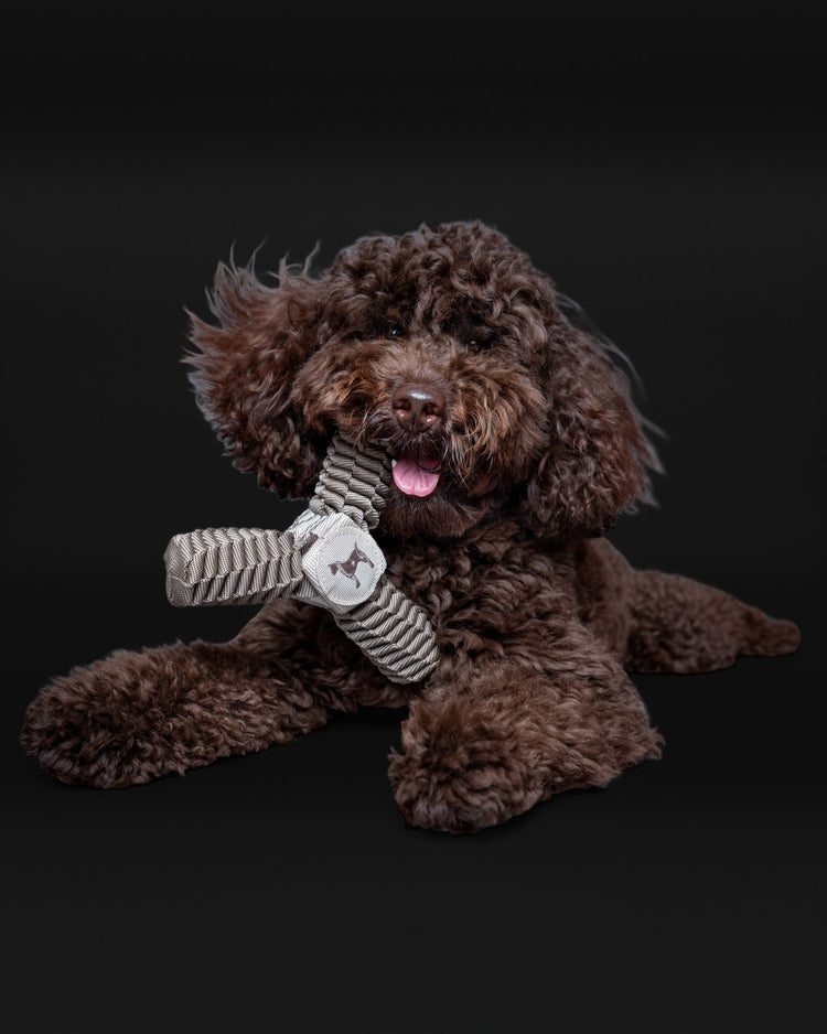 Dog playing with a Noah & Paw woven toy