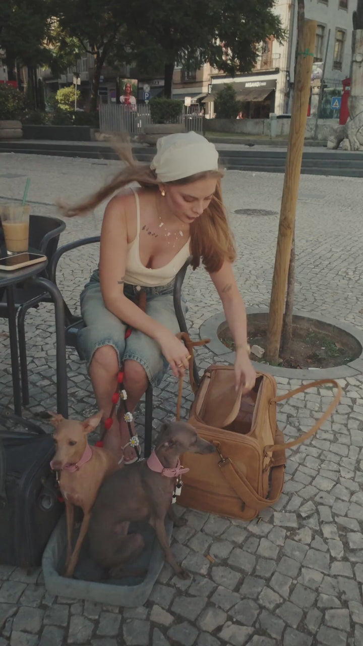 Video: Noah & Paw TSA-approved soft pet carrier in camel faux leather opened to show the padded mat
