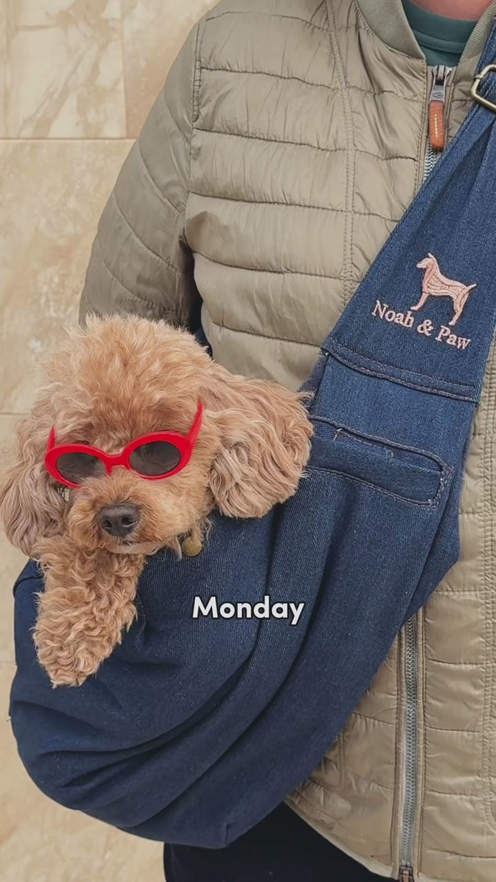 Video: poodle in the Noah & Paw premium denim snap style dog sling carrier for everyday outings